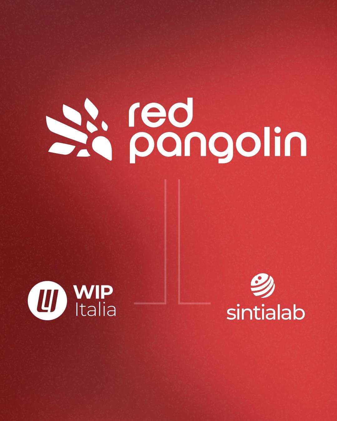 red pangolin sintia lab wip italia red pangolin sintia lab wip italia